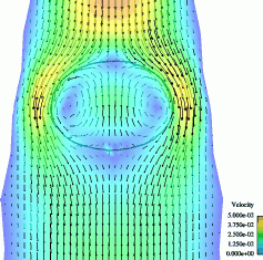 velocity field