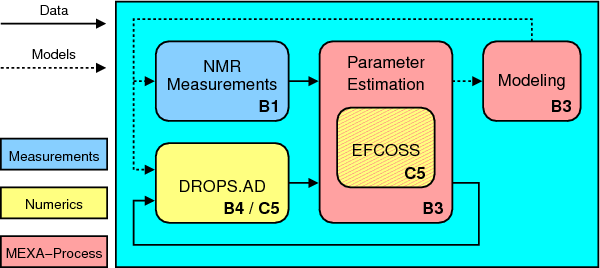 structure of group B