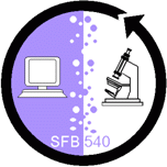 SFB logo