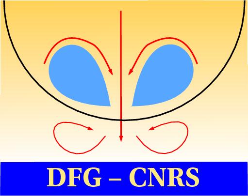 DFG-CNRS-Logo